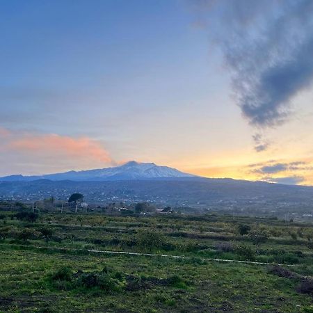 Vista Etna House Leilighet Fiumefreddo di Sicilia Eksteriør bilde